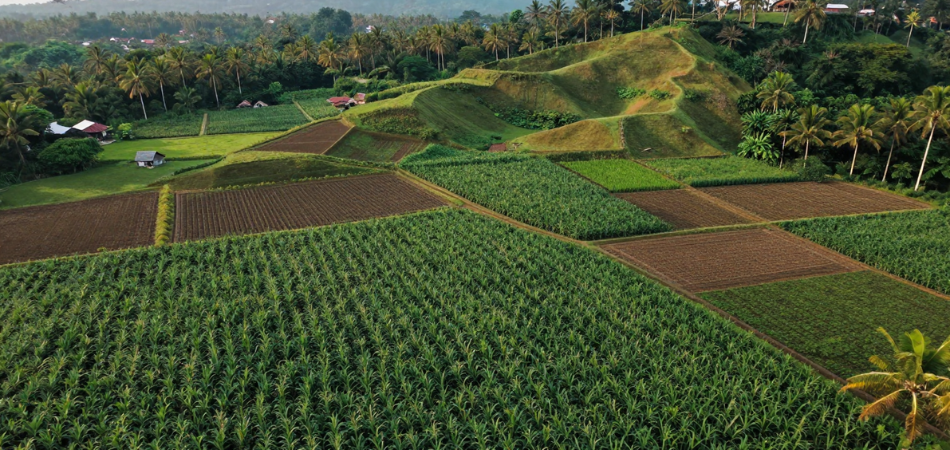Lansekap pesisir